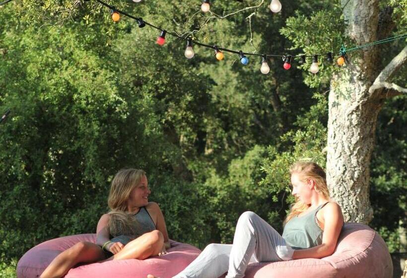 Progress Outdoor Surf Hostel