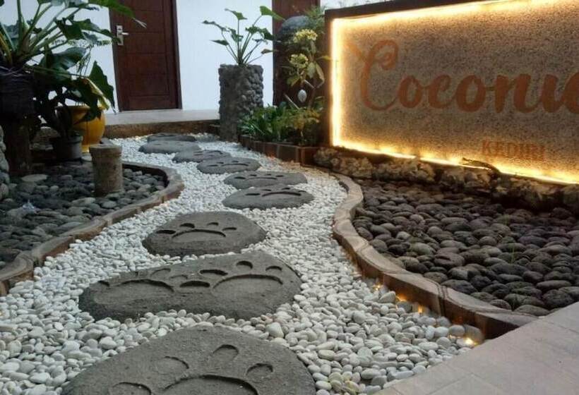 Coconut Hotel   Hostel