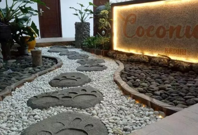 Coconut Hotel Hostel