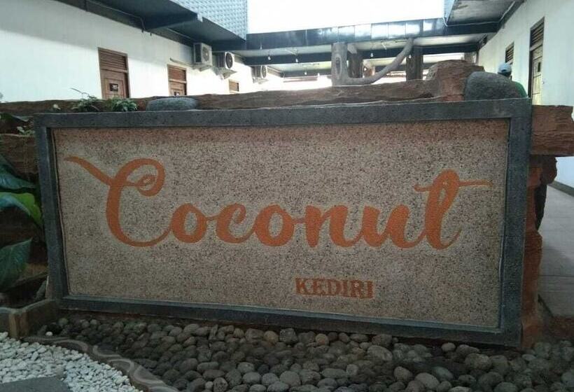 Coconut Hotel   Hostel