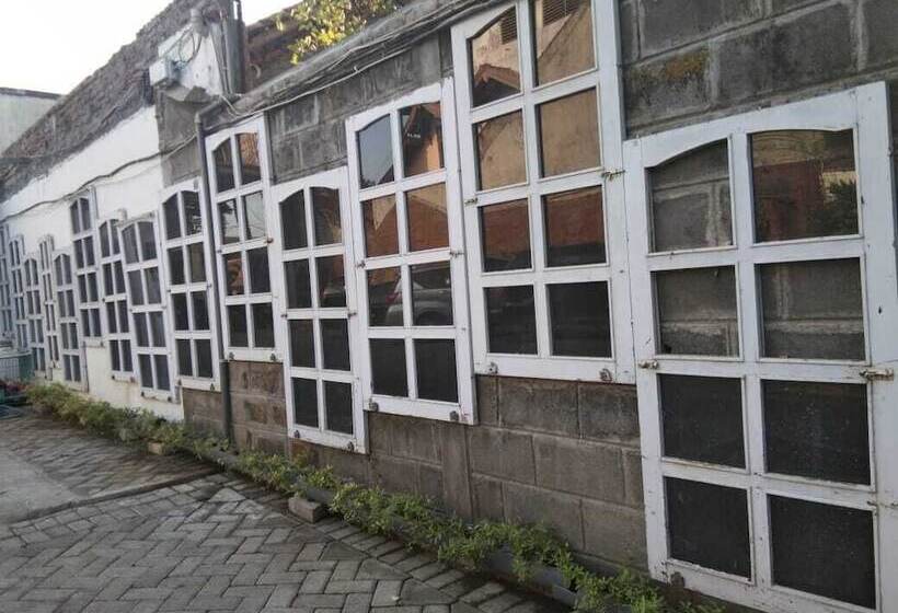 Coconut Hotel   Hostel