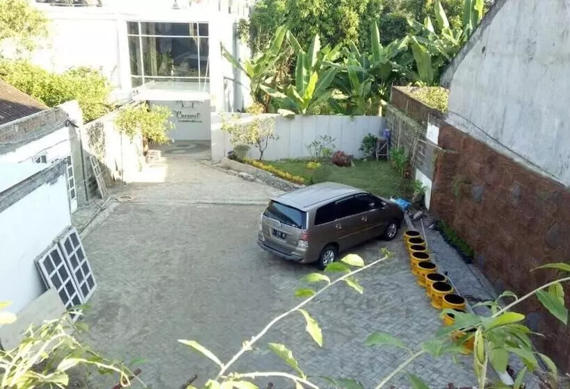 Coconut Hotel Hostel