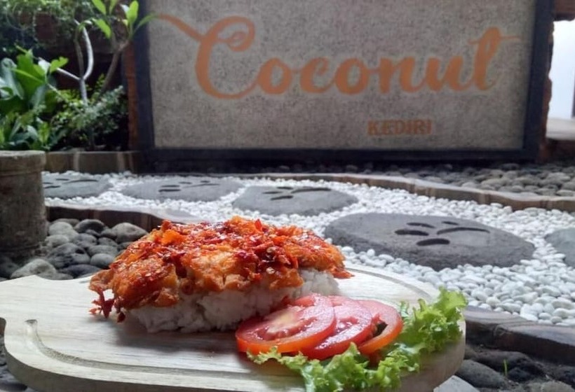 Coconut Hotel   Hostel