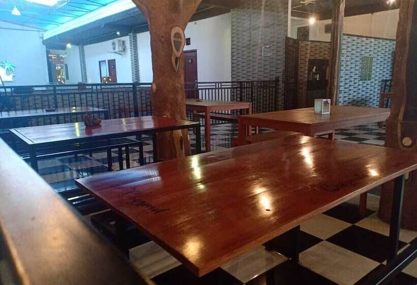 Coconut Hotel   Hostel