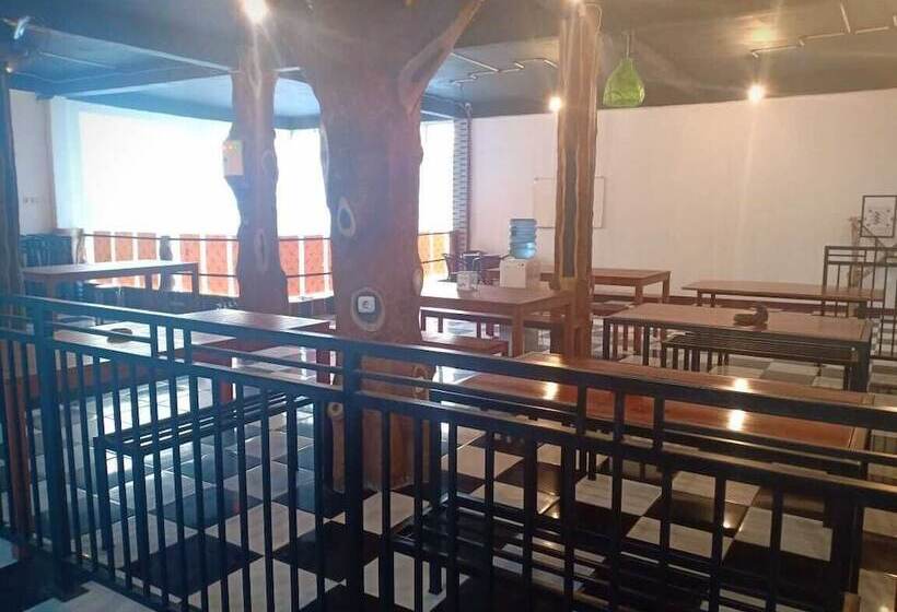 Coconut Hotel   Hostel