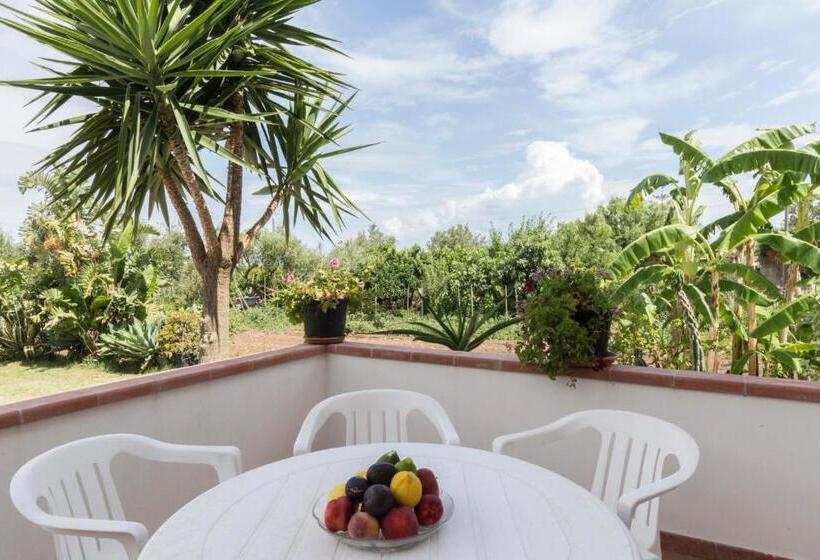 펜션 Europa Rooms And Restaurant