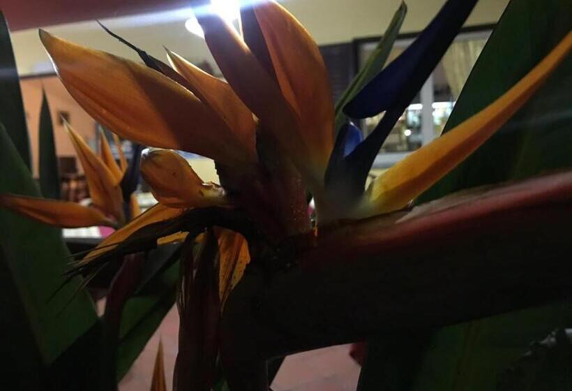 펜션 Europa Rooms And Restaurant