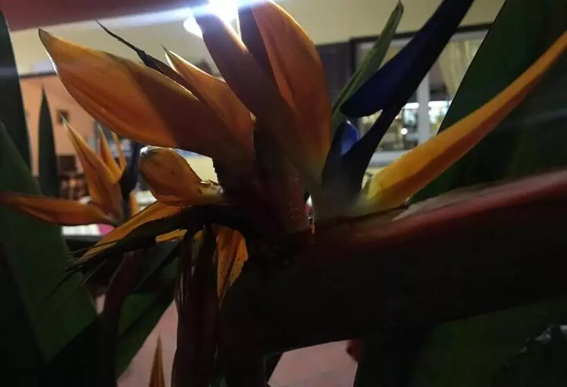 Majatalo Europa Rooms And Restaurant