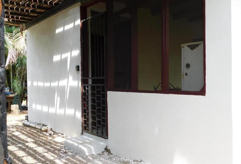 هاستل Chill Inn Nosara