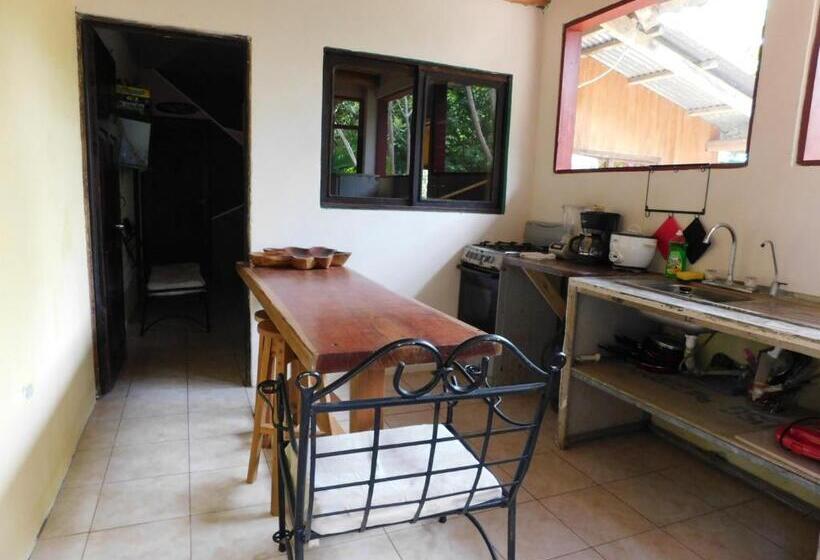 هاستل Chill Inn Nosara