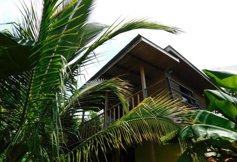 هاستل Chill Inn Nosara