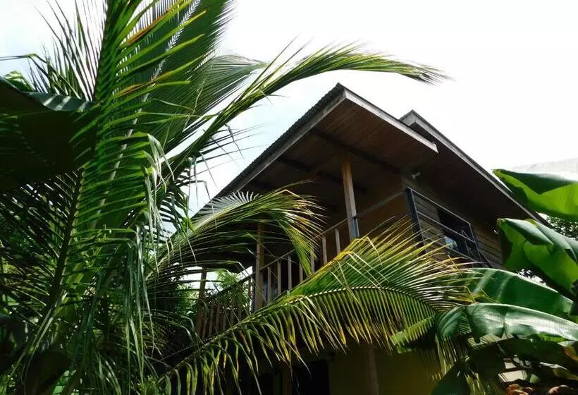 Retkeilymaja Chill Inn Nosara