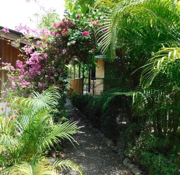 هاستل Chill Inn Nosara