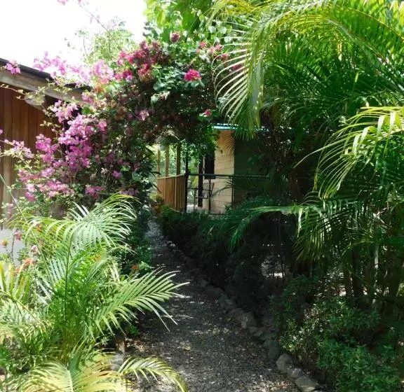 Retkeilymaja Chill Inn Nosara