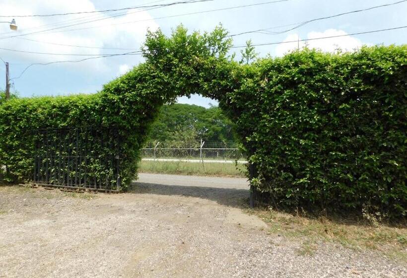 هاستل Chill Inn Nosara