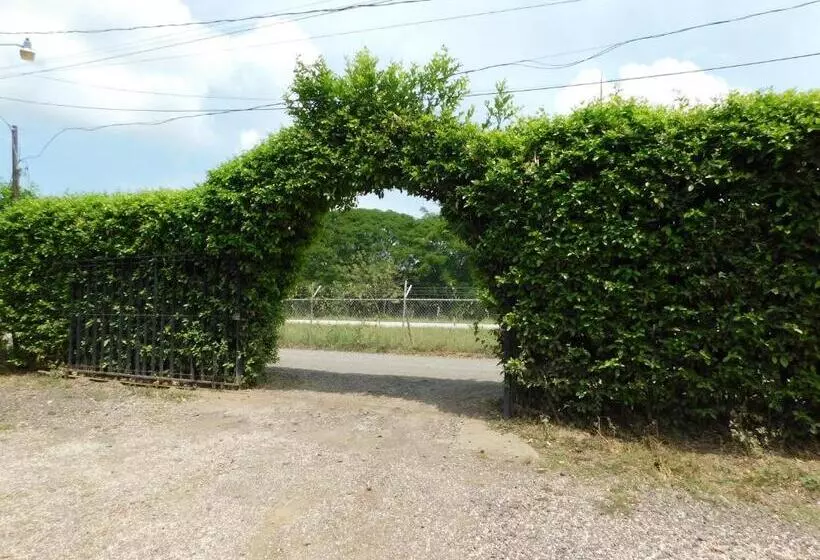 Retkeilymaja Chill Inn Nosara