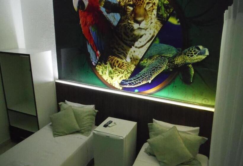 Отель Basilio Reformado Pelo Sbt