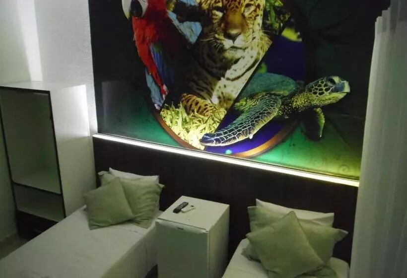 ホテル Basilio Reformado Pelo Sbt