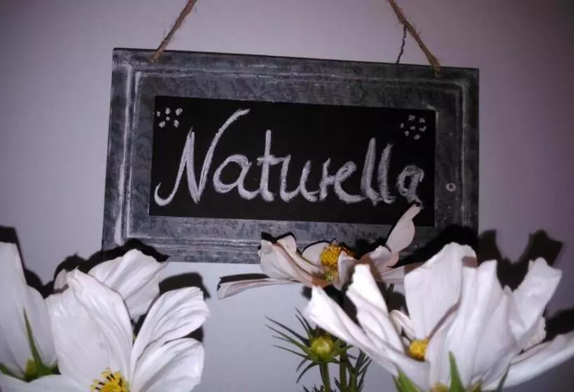 ペンション Auf Kleine Wiesen