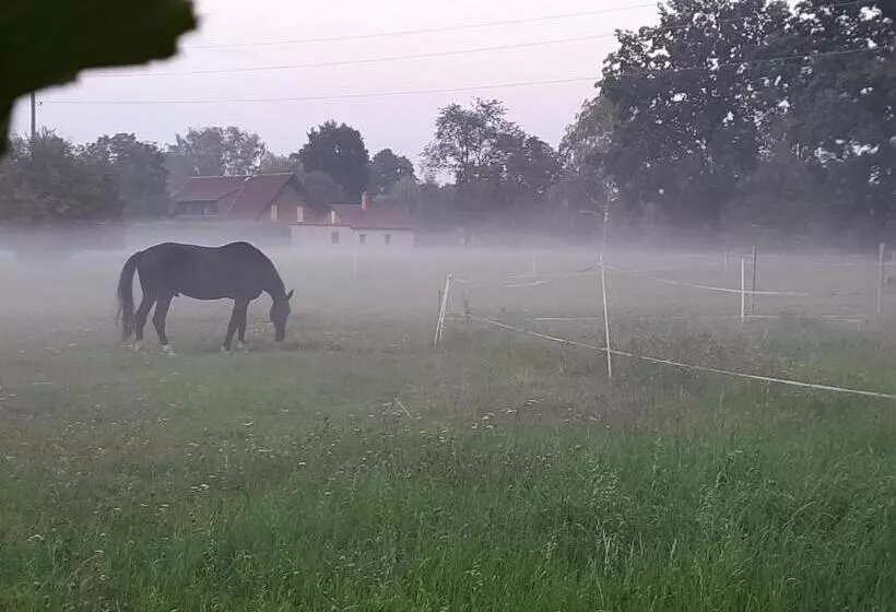 ペンション Auf Kleine Wiesen