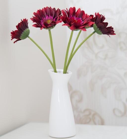 پانسیون Casa Alexandra