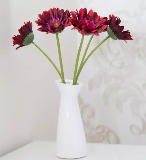 ペンション Casa Alexandra