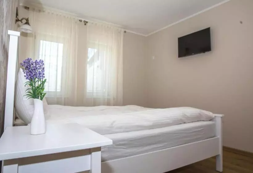 ペンション Casa Alexandra