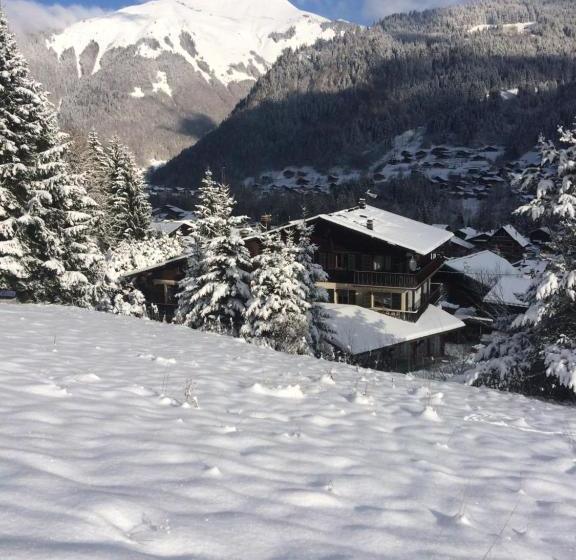 هتل Chalet Starlight