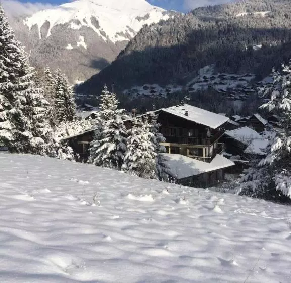 هتل Chalet Starlight