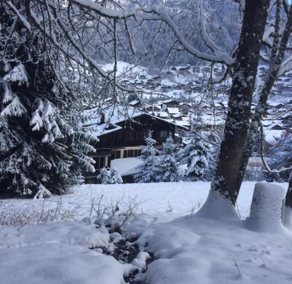 هتل Chalet Starlight