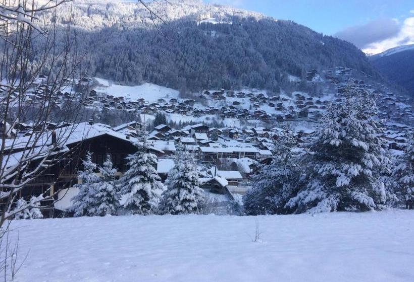 هتل Chalet Starlight