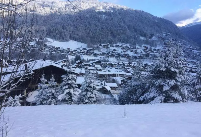 هتل Chalet Starlight