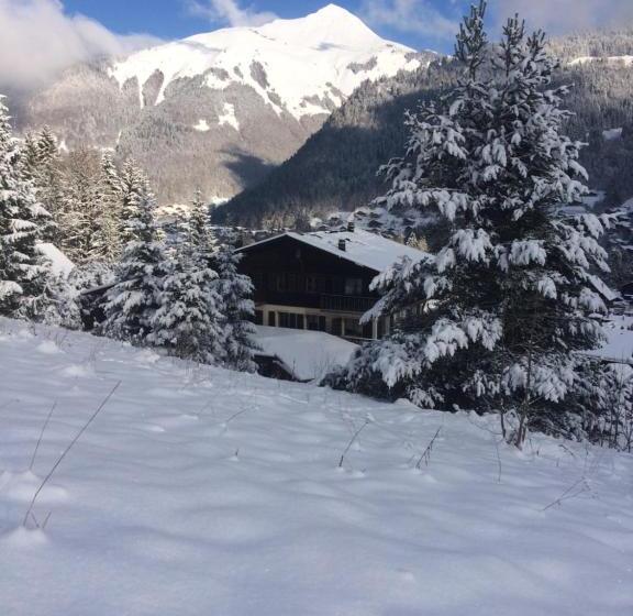 هتل Chalet Starlight