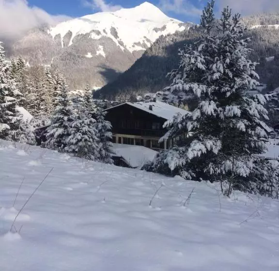 هتل Chalet Starlight