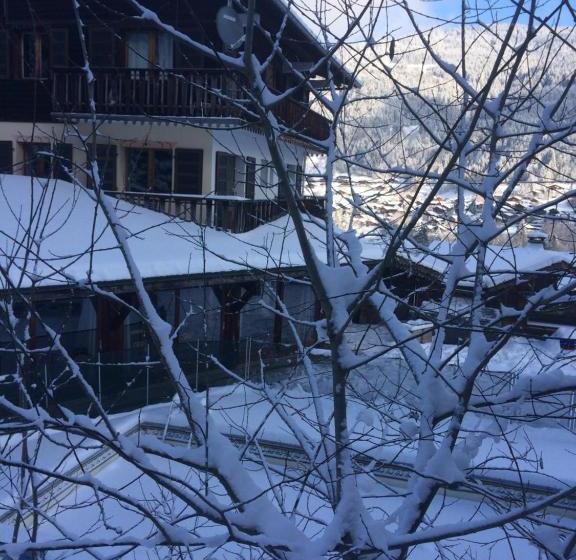 هتل Chalet Starlight