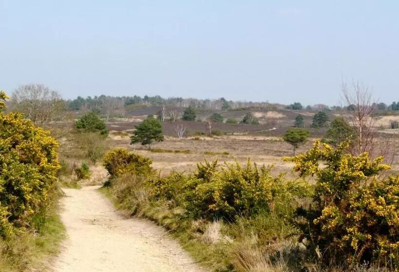 ペンション Fornham Guest House