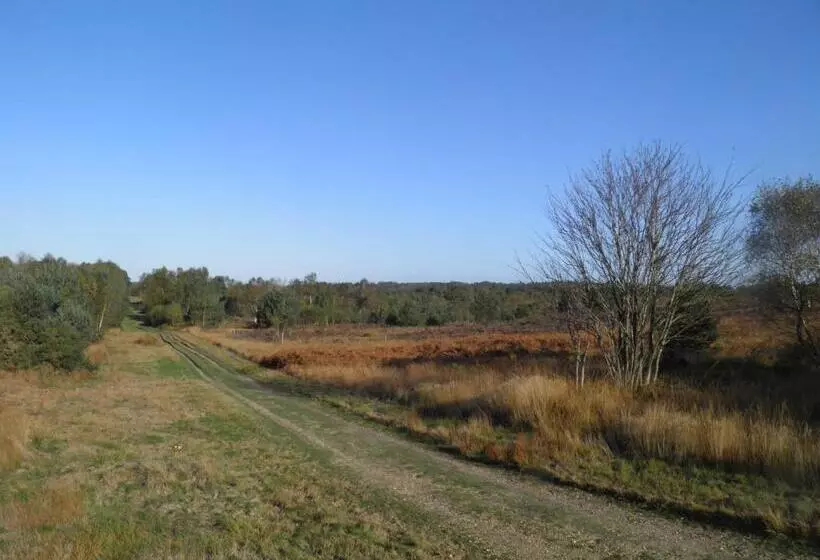 ペンション Fornham Guest House