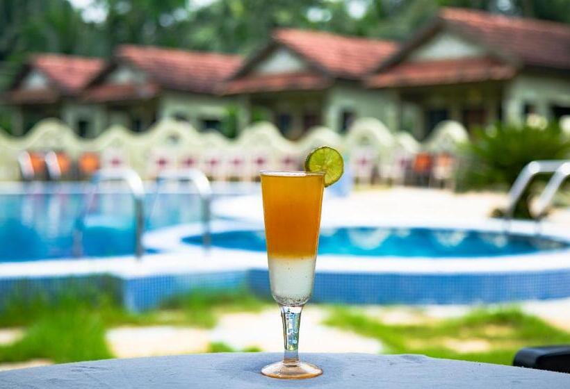 리조트 Breathing Earth   Rooms And Pool