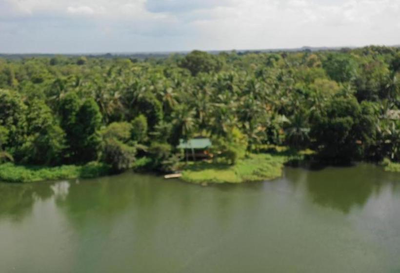 Yonan River Face Safari Resort