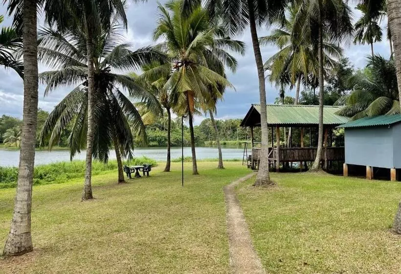 Yonan River Face Safari Resort