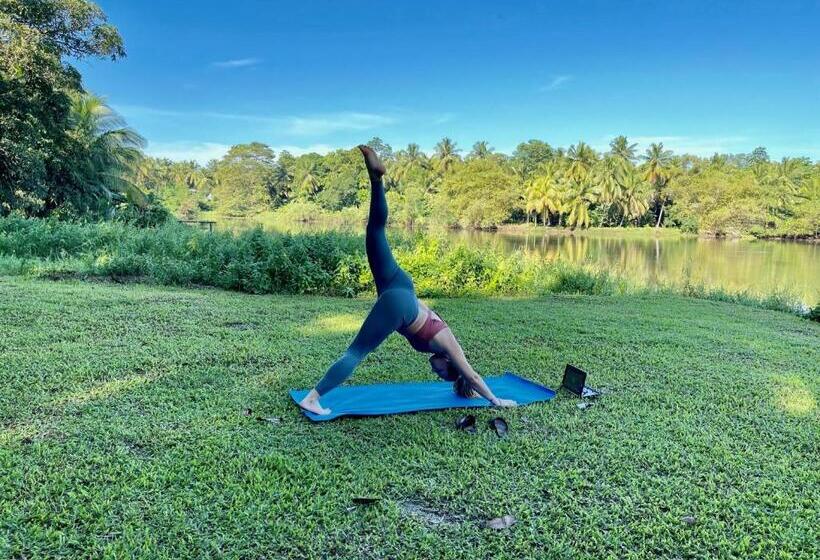 Yonan River Face Safari Resort