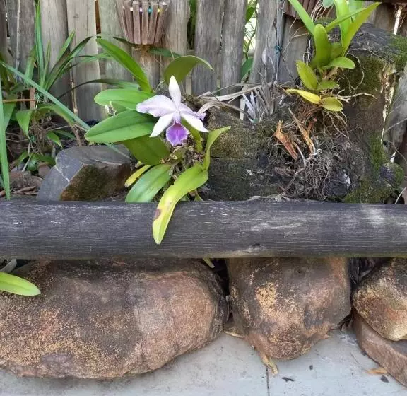 Pensão Pousada Dubaldo