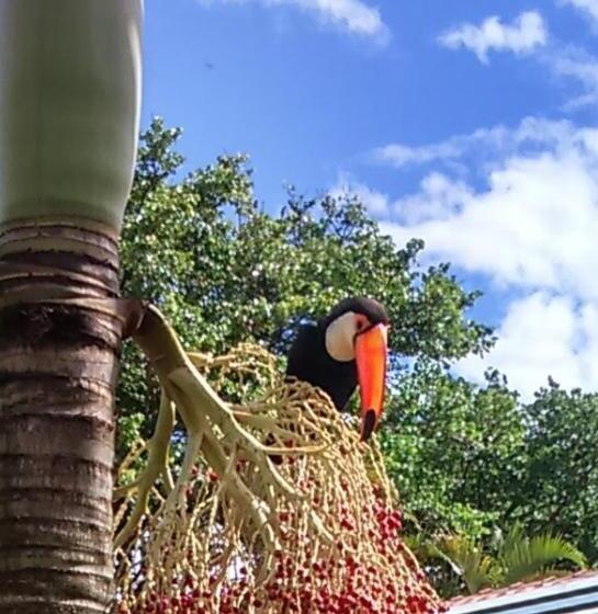 Pansiyon Pousada Dubaldo