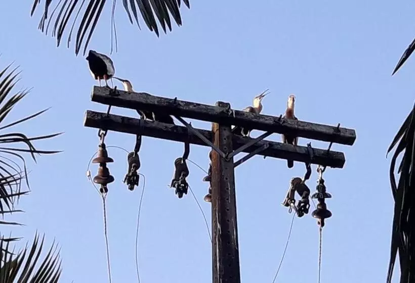 Pensão Pousada Dubaldo