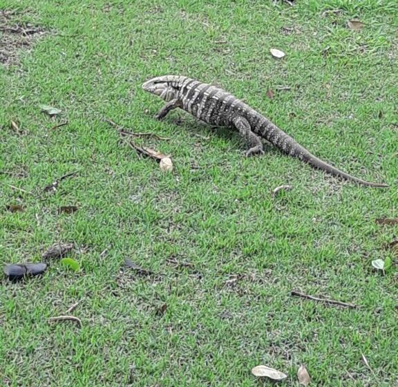 Pansiyon Pousada Dubaldo