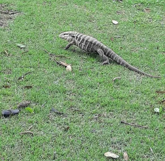 Pensão Pousada Dubaldo