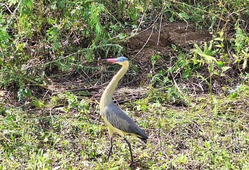 Pansiyon Pousada Dubaldo