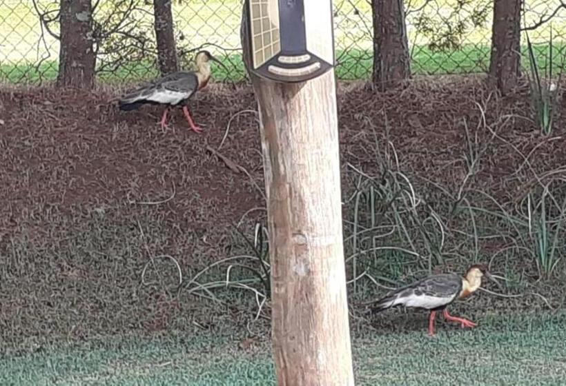 Pansiyon Pousada Dubaldo