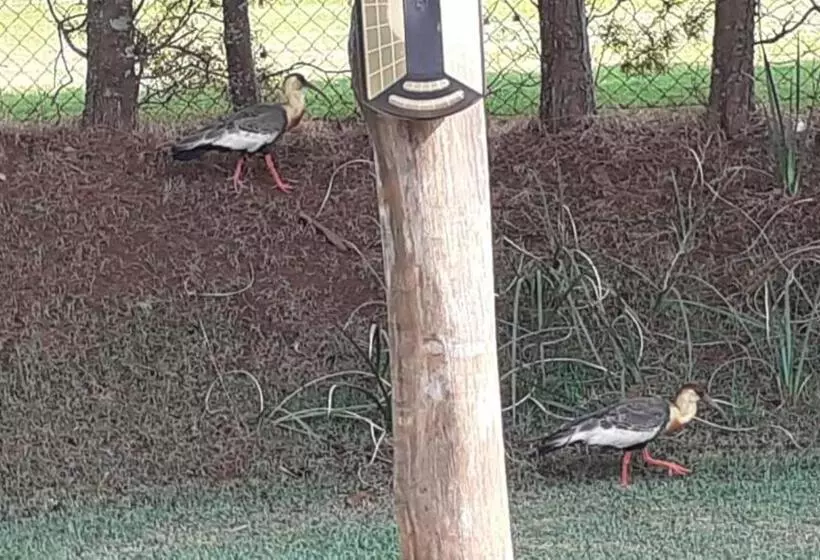 Pensão Pousada Dubaldo