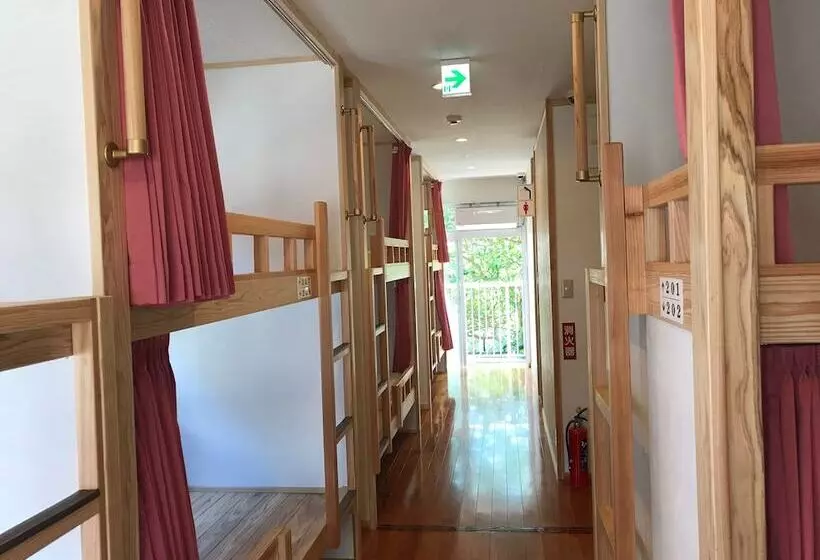 Hostel Panda No Negura